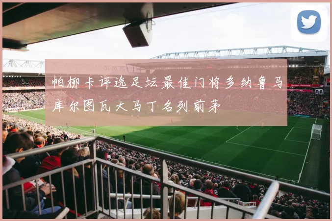 帕柳卡评选足坛最佳门将多纳鲁马库尔图瓦大马丁名列前茅