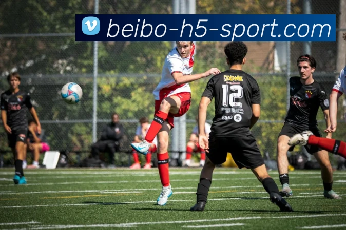 贝博体育发展历程